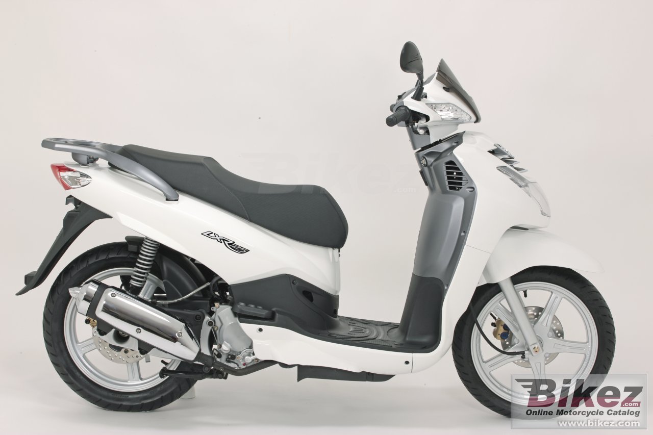 Big Peugeot lxr 125 picture and wallpaper from Bikez.com